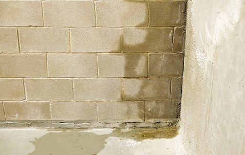 a crawlspace with moisture